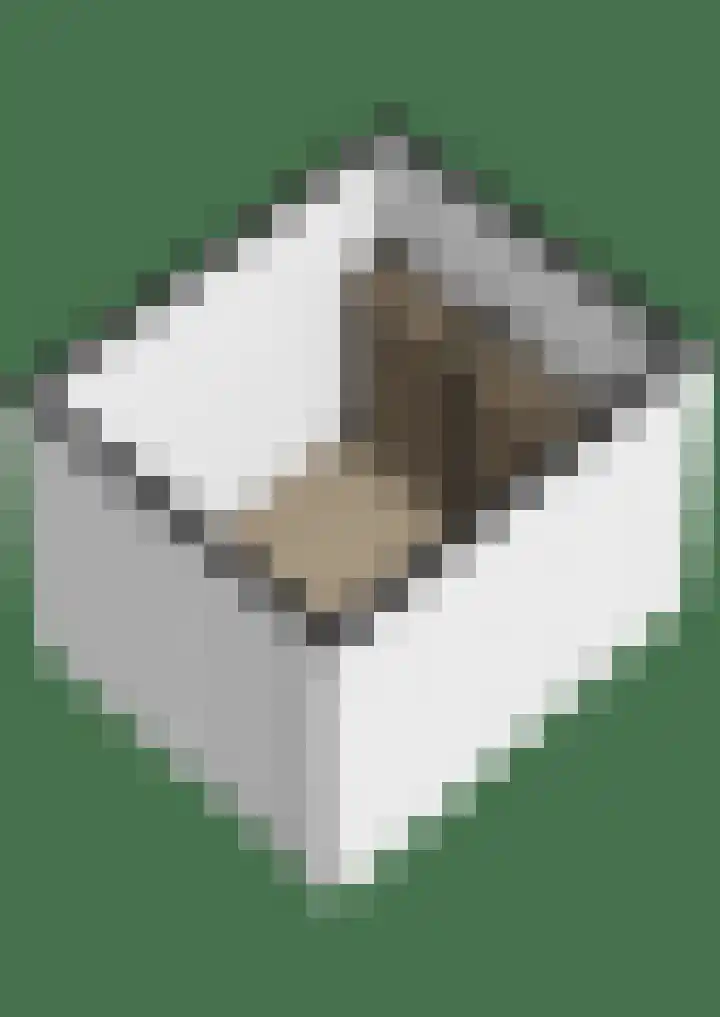 Waterviolier 30 Breda thumbnail 34