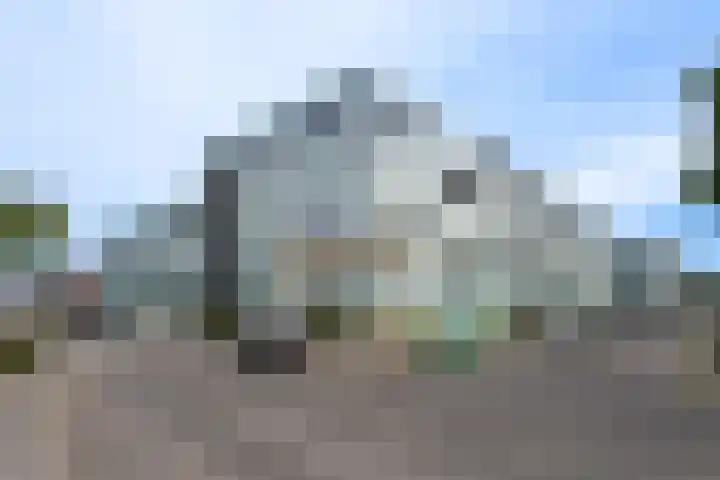 Waterviolier 30 Breda thumbnail 35