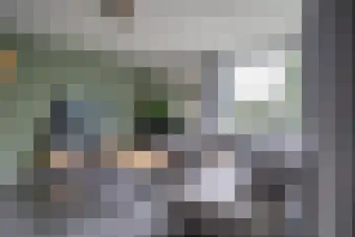 Waterviolier 30 Breda thumbnail 4