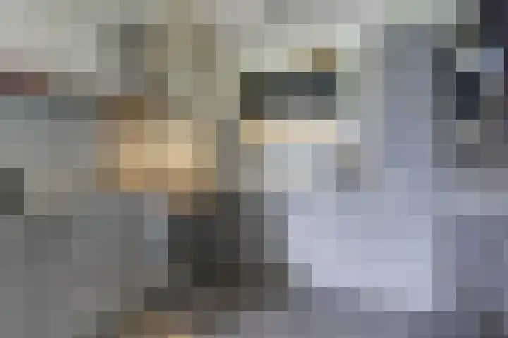 Waterviolier 30 Breda thumbnail 7