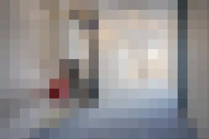 Waterviolier 34 Leidschendam thumbnail 14