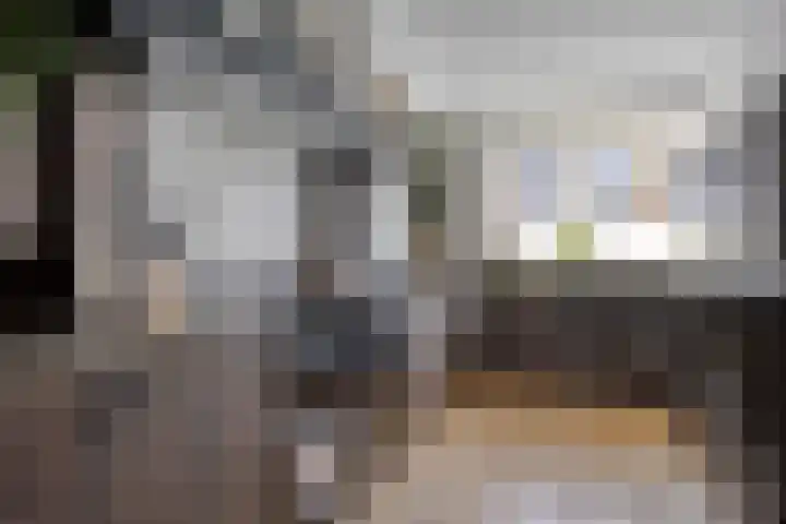 Waterviolier 35 Amersfoort thumbnail 20