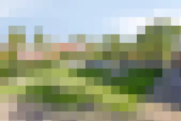 Waterviolier 35 Amersfoort thumbnail 42