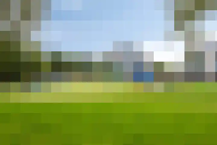 Waterviolier 35 Amersfoort thumbnail 43