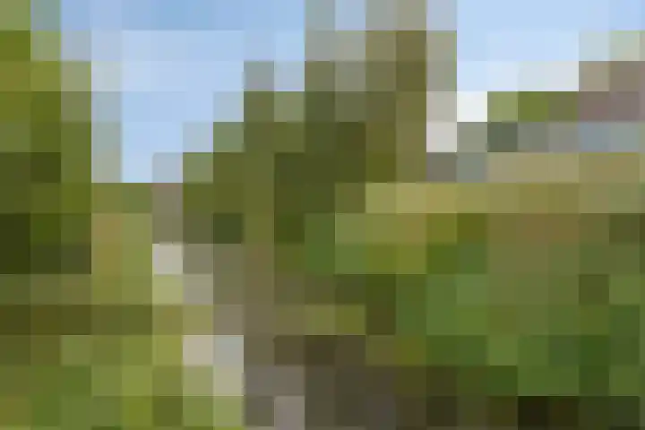 Waterviolier 35 Amersfoort thumbnail 45