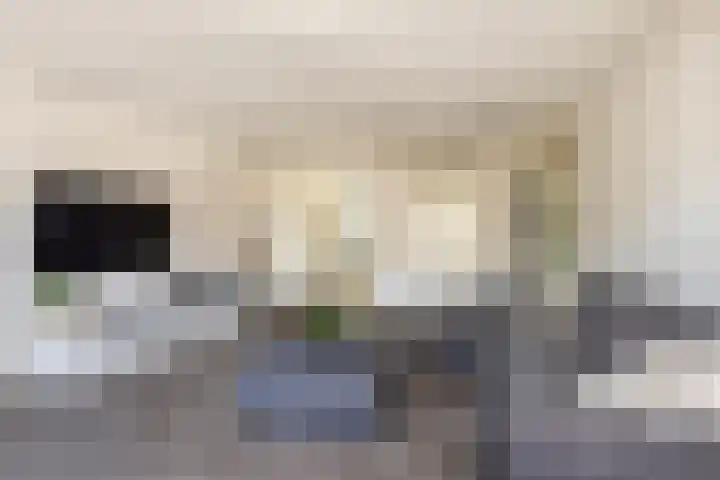 Waterviolier 37 Amersfoort thumbnail 13