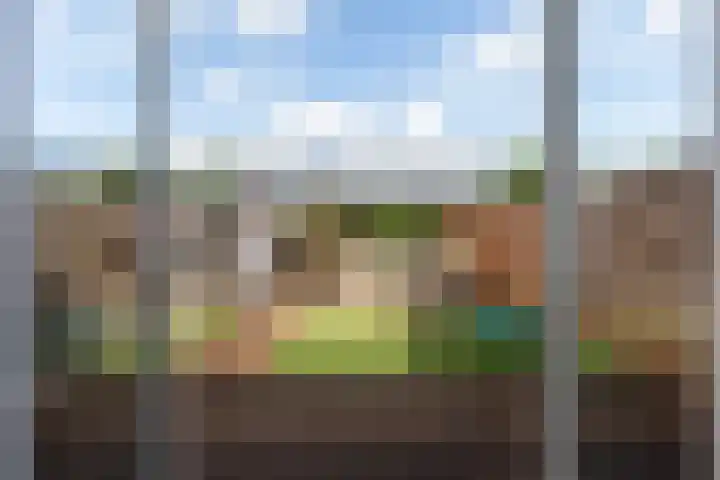 Waterviolier 37 Amersfoort thumbnail 14