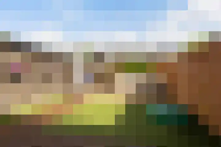 Waterviolier 37 Amersfoort thumbnail 16