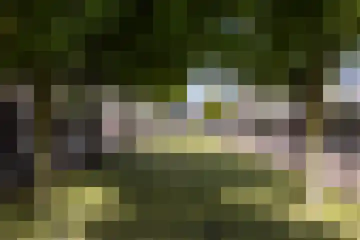 Waterviolier 37 Amersfoort thumbnail 38