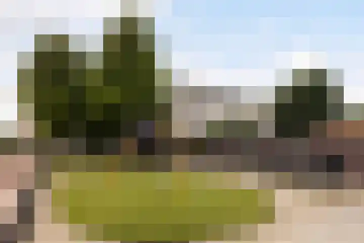 Waterviolier 37 Amersfoort thumbnail 40