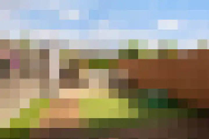 Waterviolier 37 Amersfoort thumbnail 5