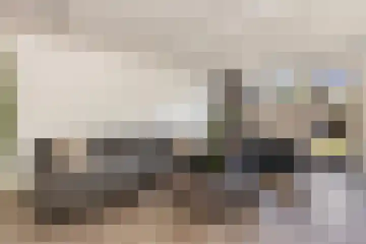 Waterviolier 37 Amersfoort thumbnail 9