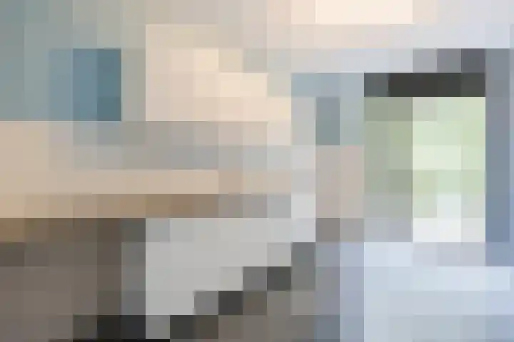 Waterviolier 39 Zwolle thumbnail 10