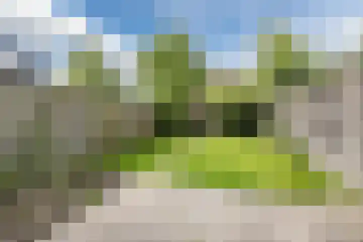 Waterviolier 39 Zwolle thumbnail 23