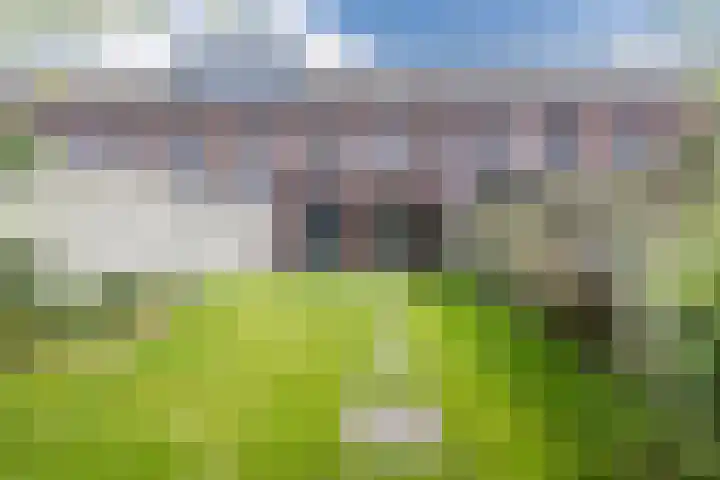 Waterviolier 39 Zwolle thumbnail 24