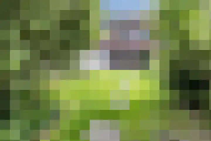 Waterviolier 39 Zwolle thumbnail 25