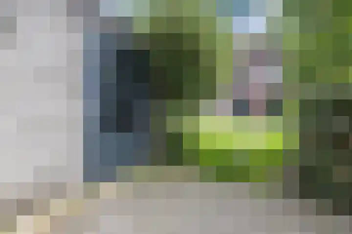 Waterviolier 39 Zwolle thumbnail 26