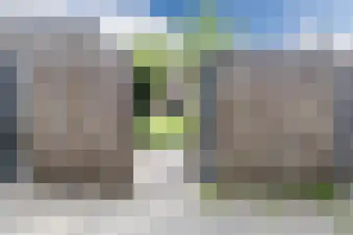 Waterviolier 39 Zwolle thumbnail 27
