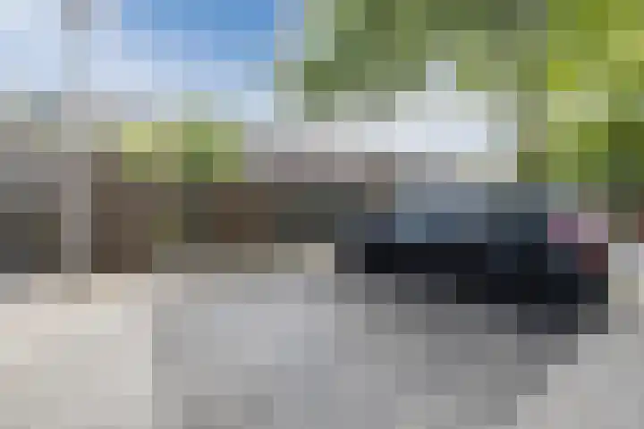 Waterviolier 39 Zwolle thumbnail 28