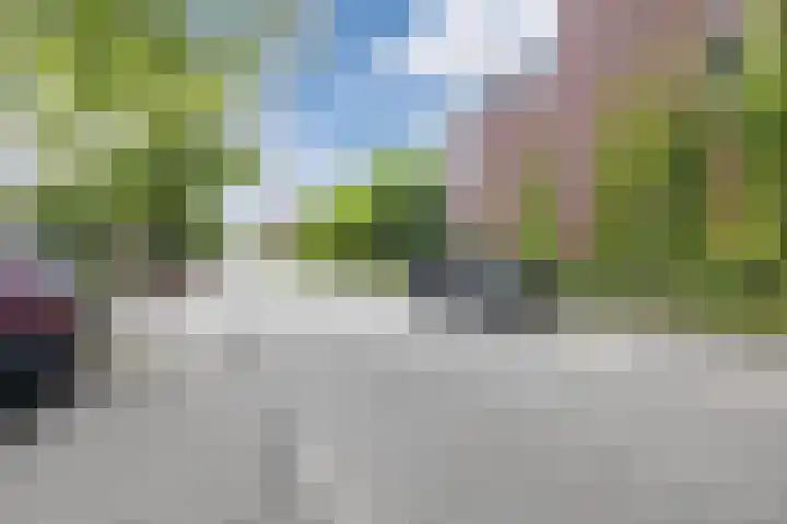 Waterviolier 39 Zwolle thumbnail 29