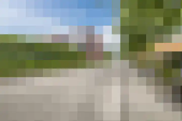 Waterviolier 39 Zwolle thumbnail 30