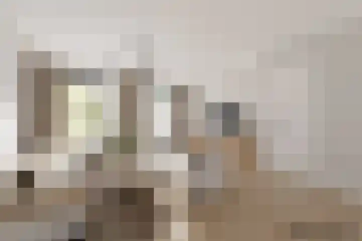 Waterviolier 39 Zwolle thumbnail 4