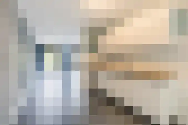 Waterviolier 39 Zwolle thumbnail 9