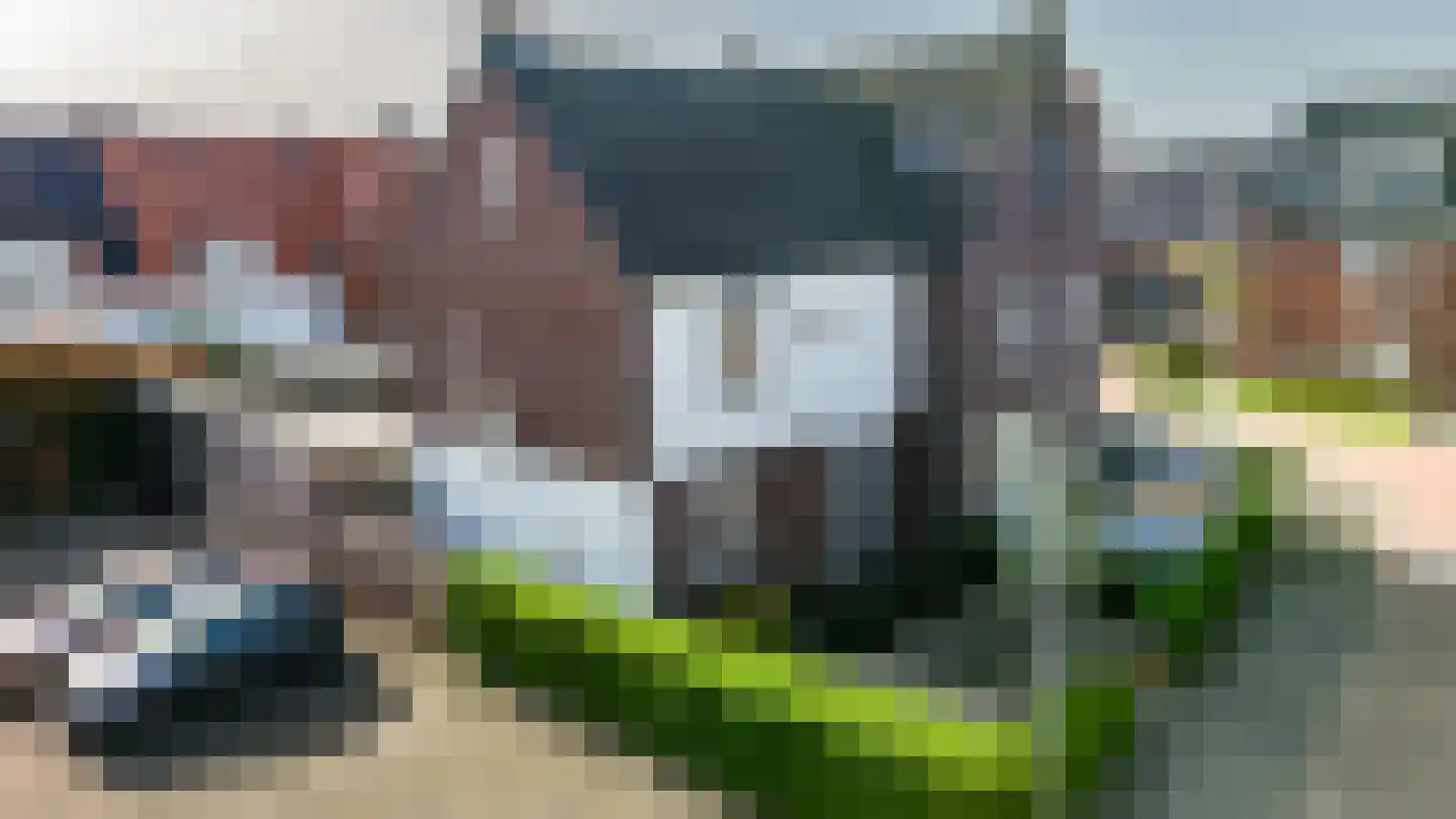 Waterviolier 4 Aalst thumbnail 10