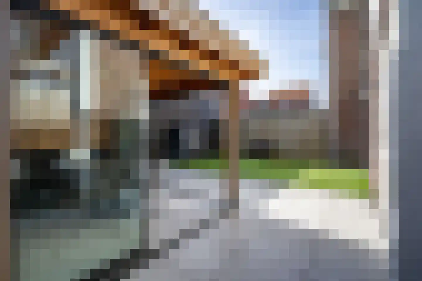 Waterviolier 4 Aalst thumbnail 16