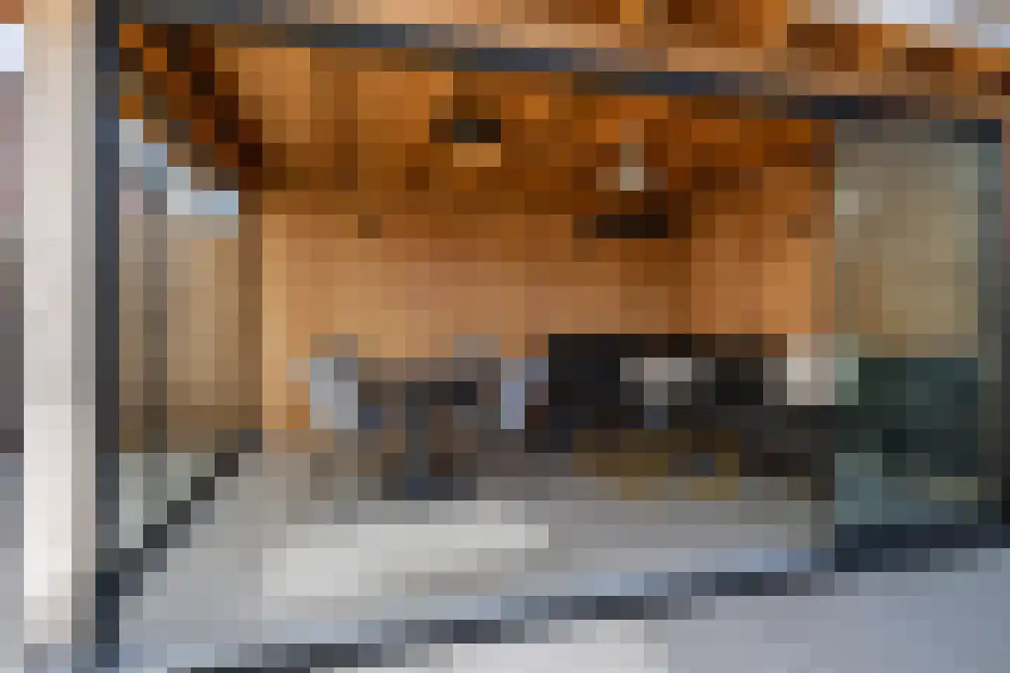 Waterviolier 4 Aalst thumbnail 17