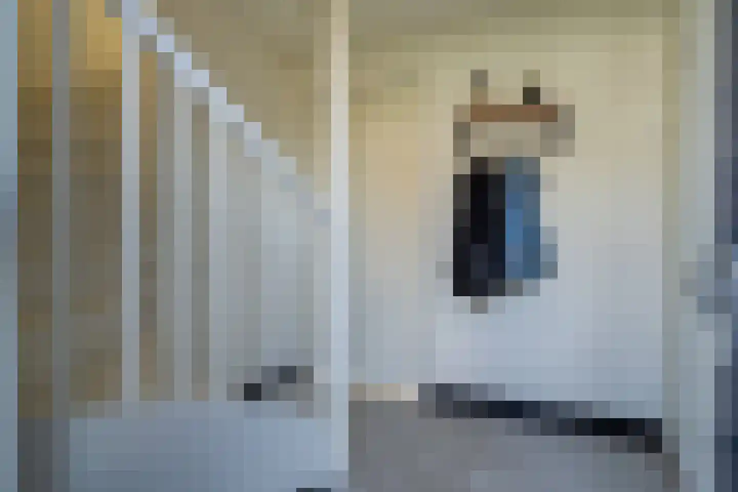 Waterviolier 4 Aalst thumbnail 19