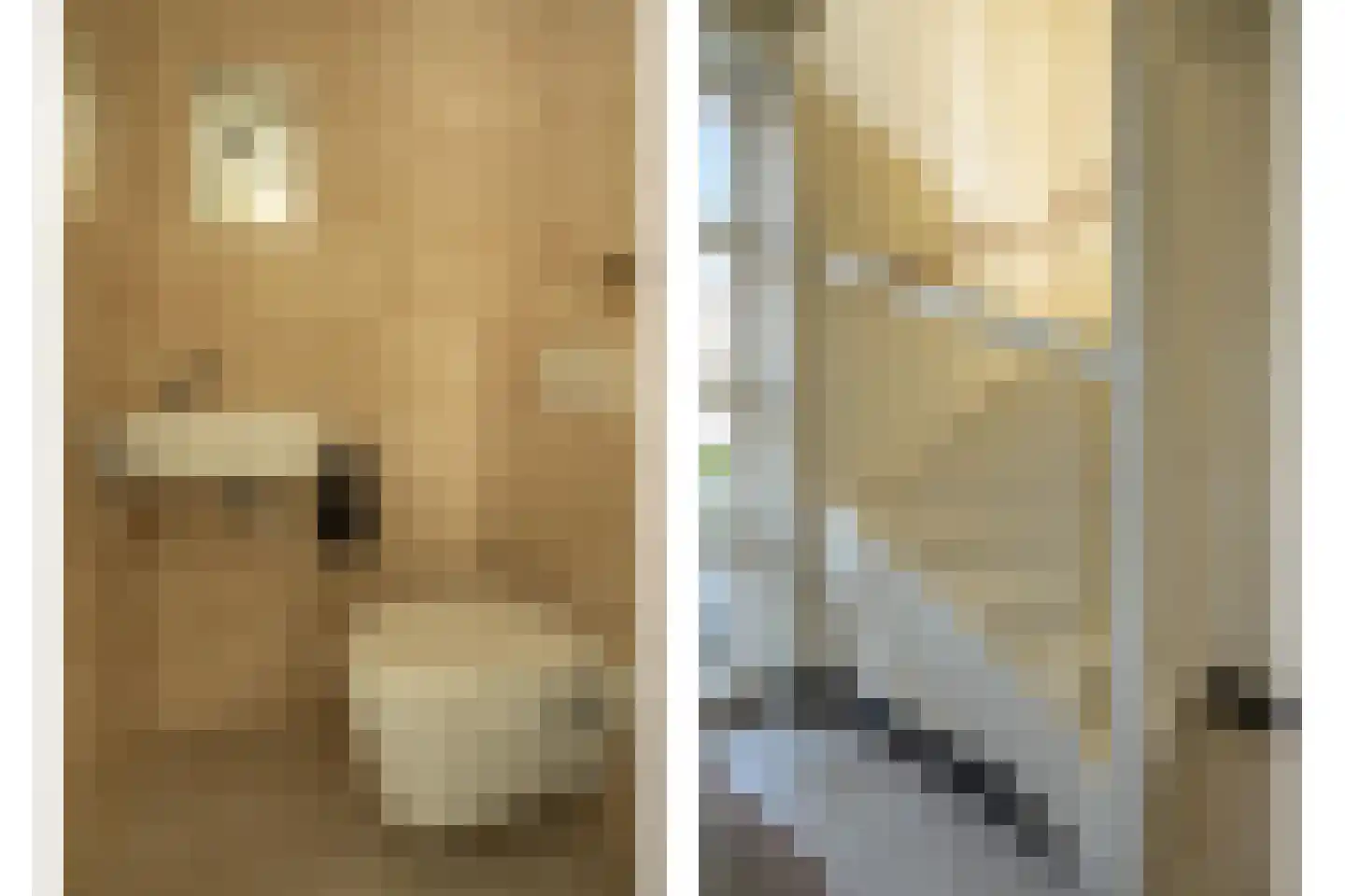 Waterviolier 4 Aalst thumbnail 21