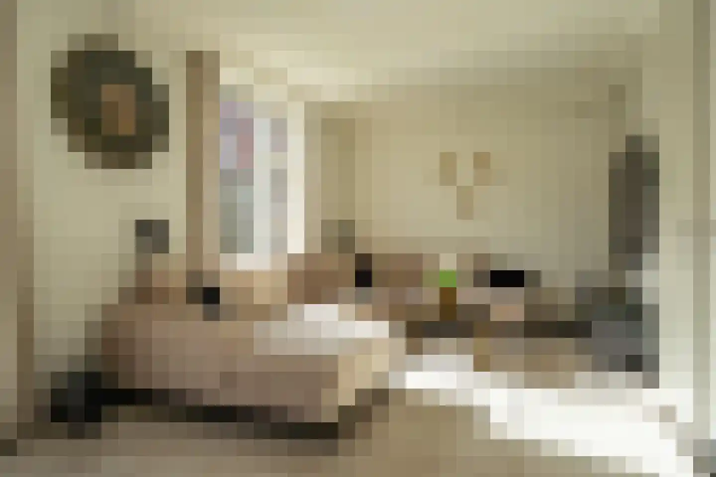 Waterviolier 4 Aalst thumbnail 23