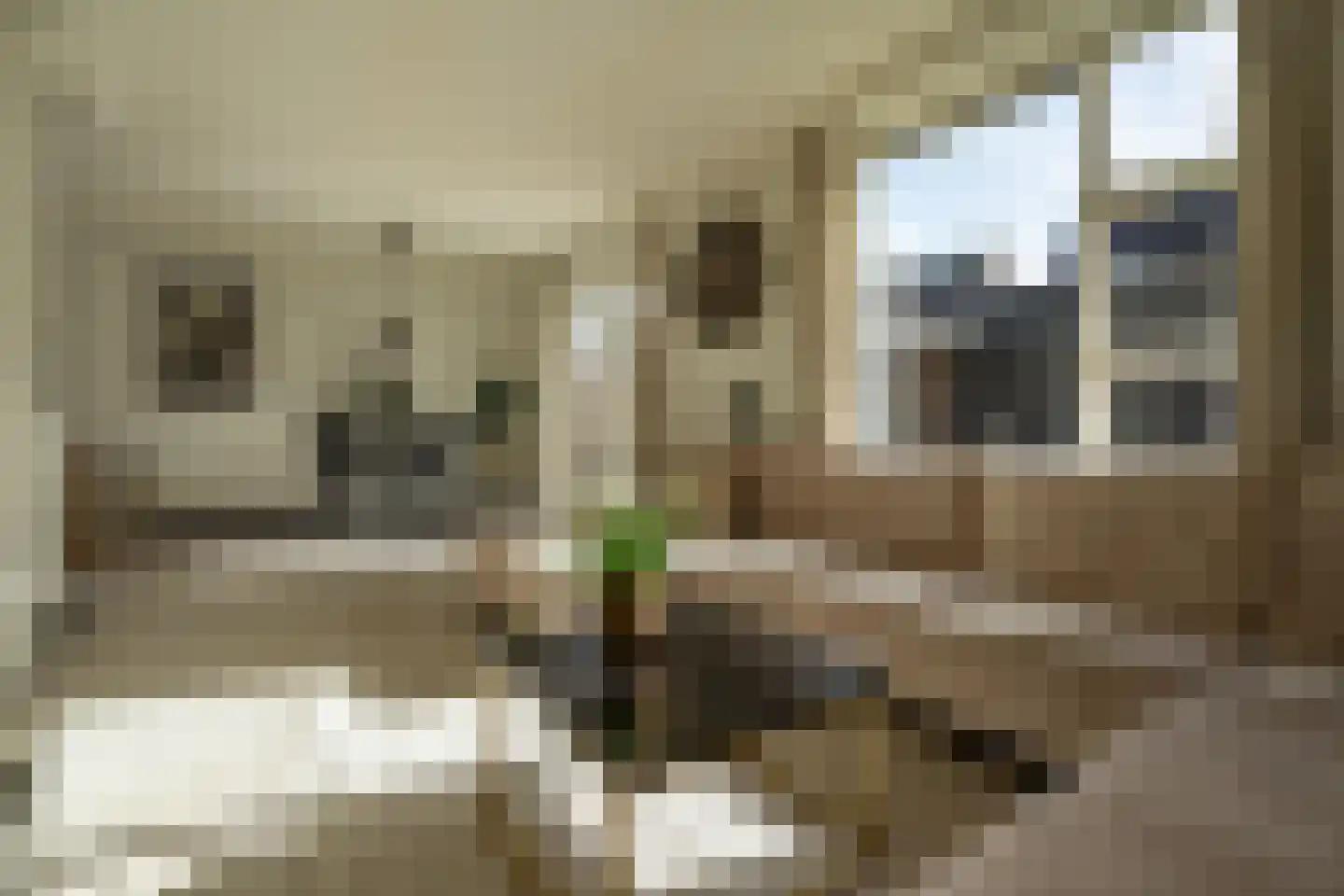Waterviolier 4 Aalst thumbnail 24