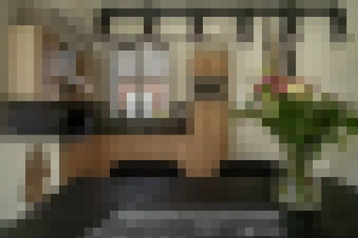 Waterviolier 4 Aalst thumbnail 28