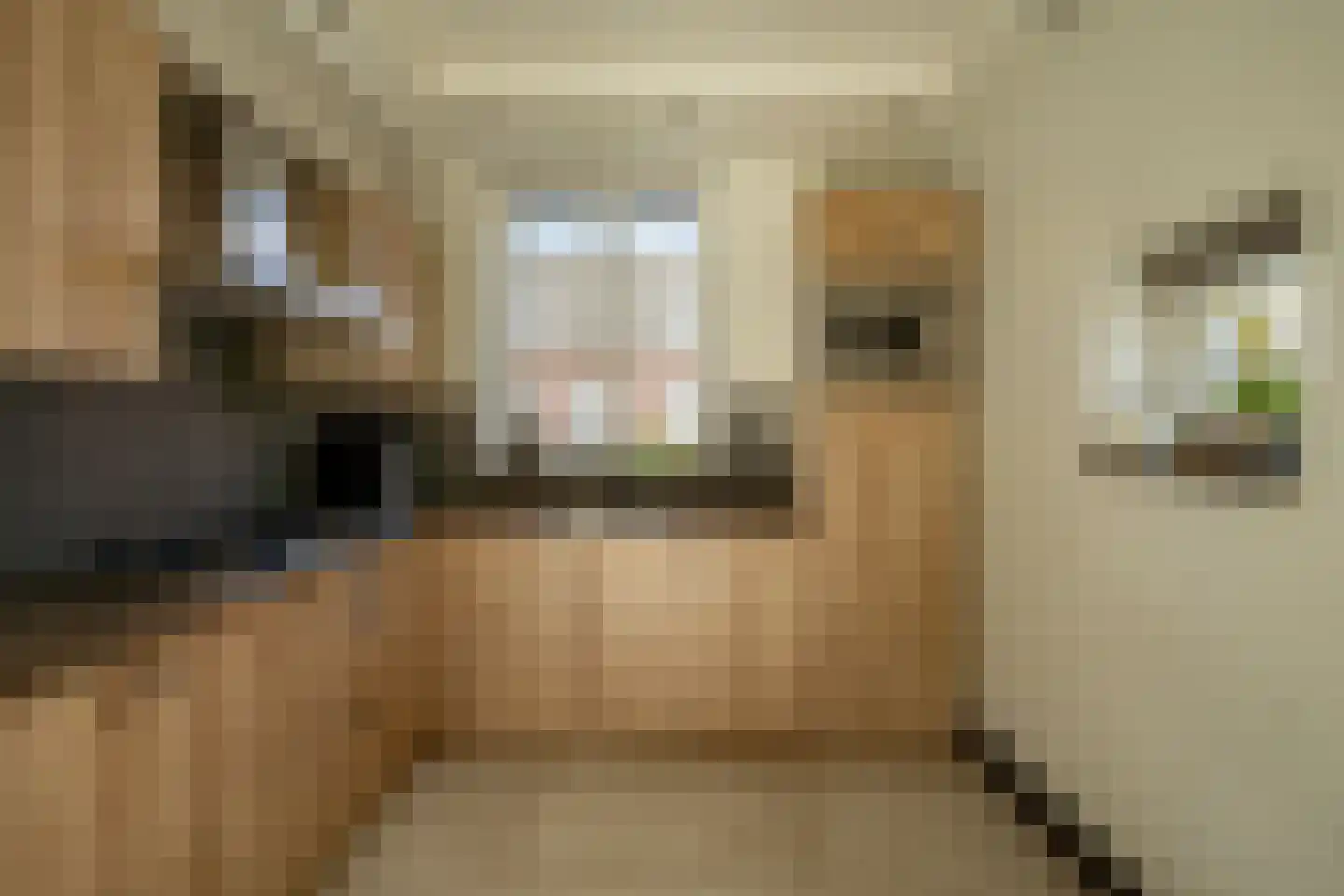 Waterviolier 4 Aalst thumbnail 30