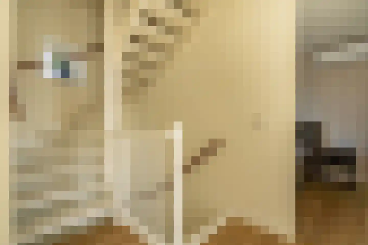Waterviolier 4 Aalst thumbnail 33