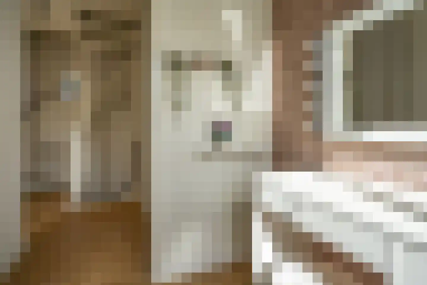 Waterviolier 4 Aalst thumbnail 39