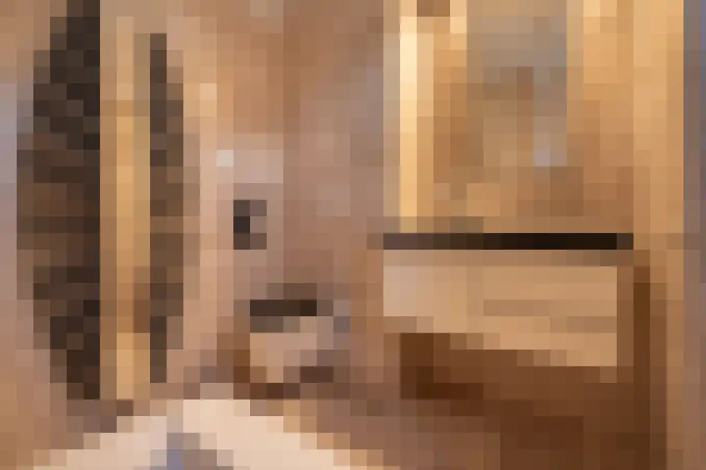 Waterviolier 4 Aalst thumbnail 43