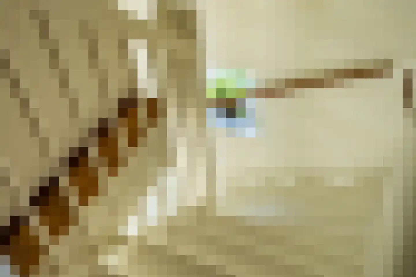 Waterviolier 4 Aalst thumbnail 45