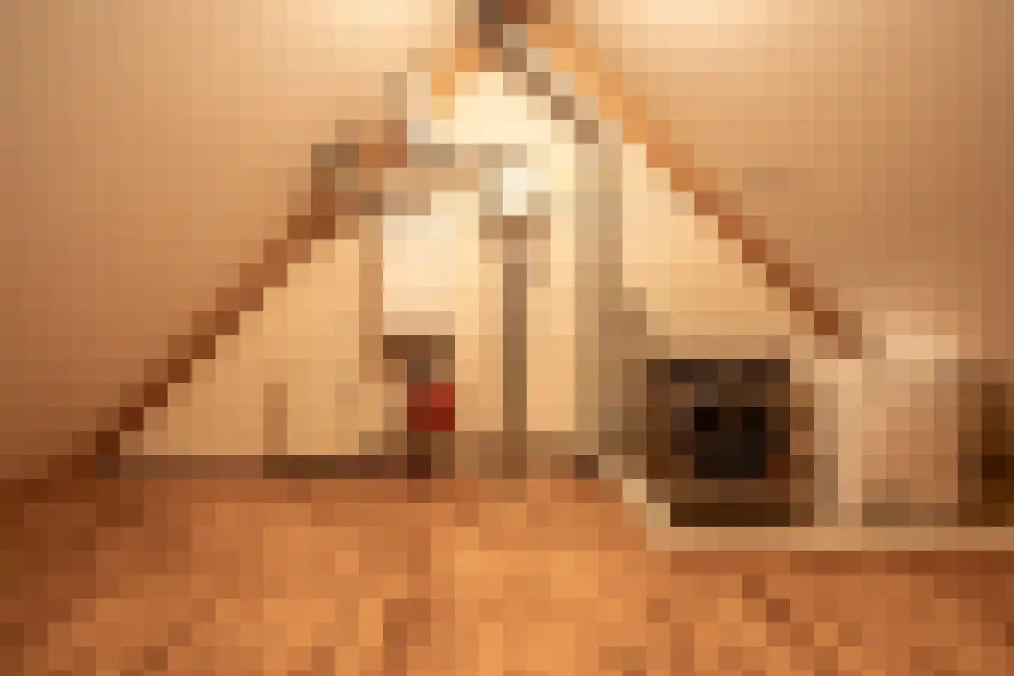Waterviolier 4 Aalst thumbnail 49