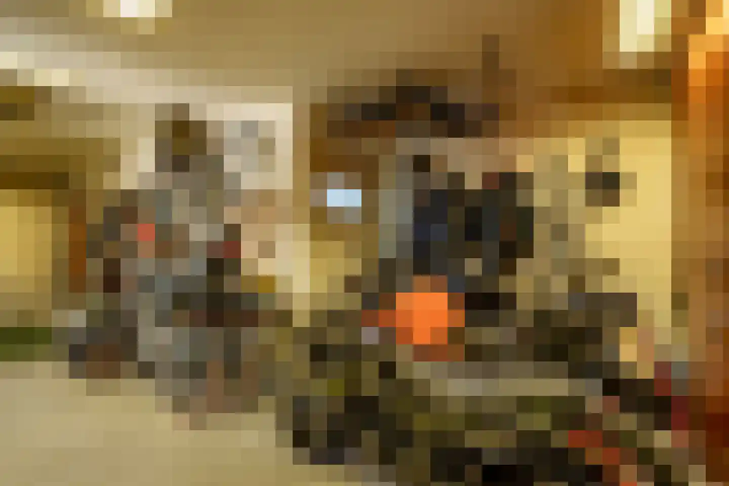 Waterviolier 4 Aalst thumbnail 54