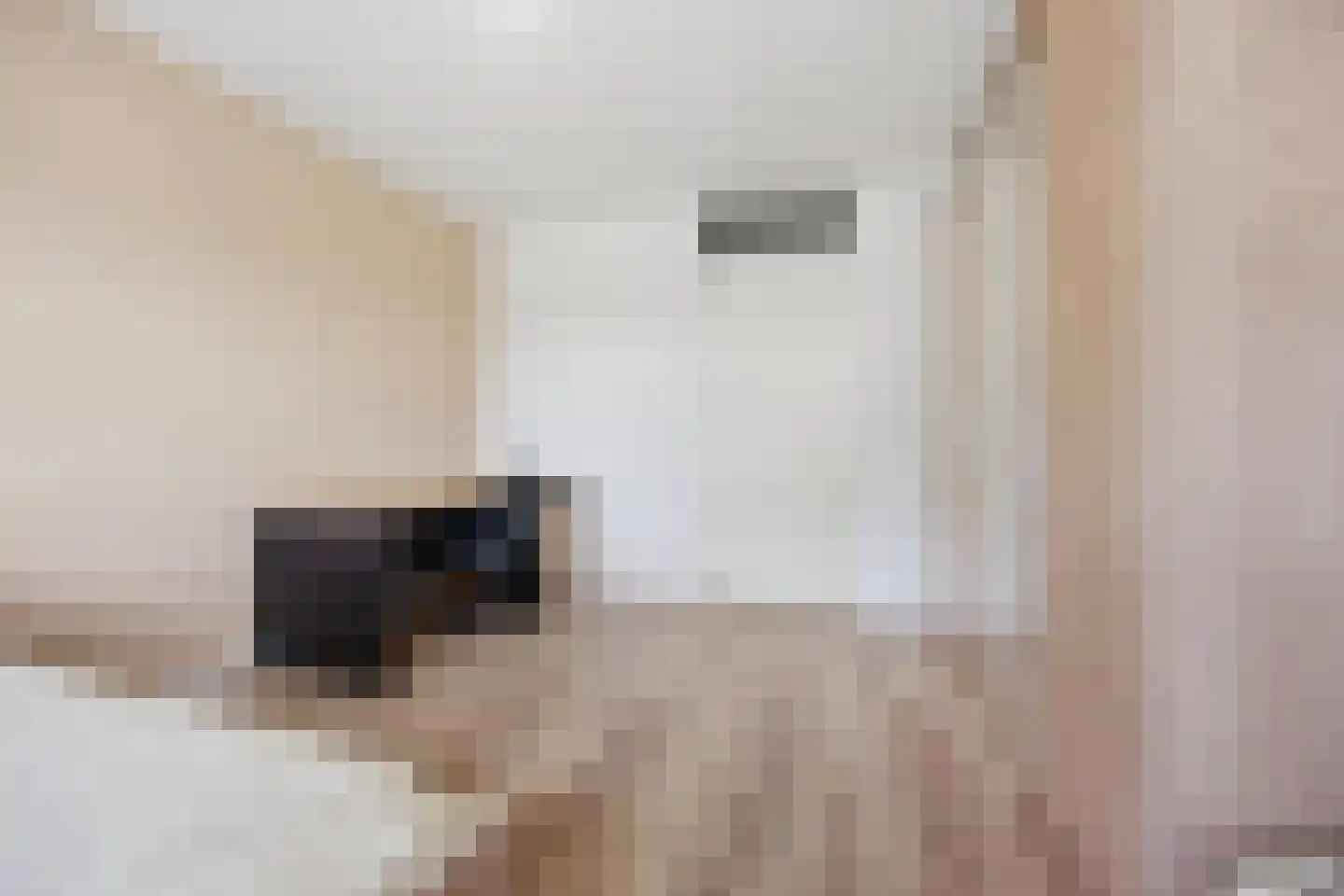 Waterviolier 4 Breda thumbnail 13