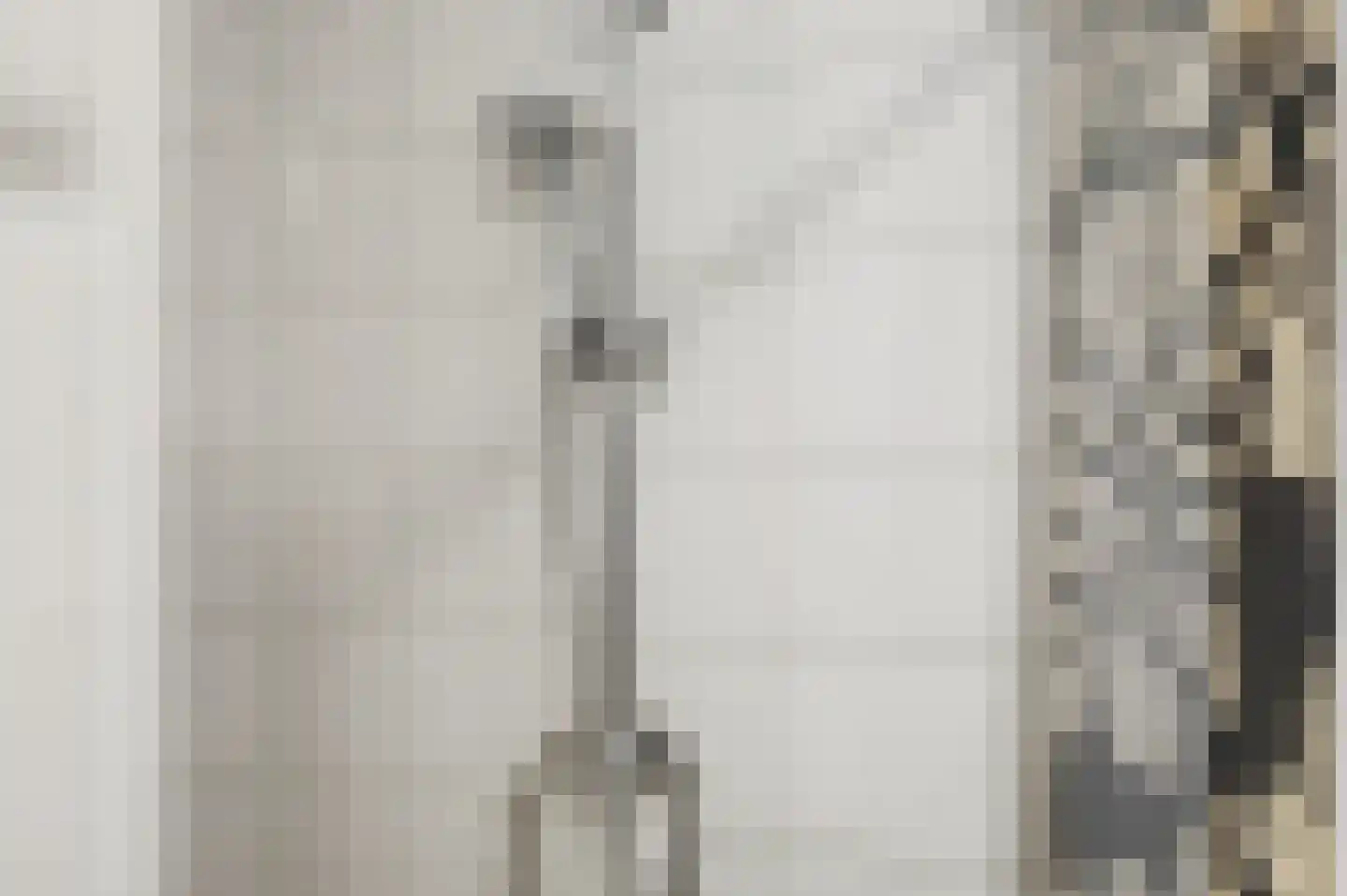 Waterviolier 4 Breda thumbnail 15
