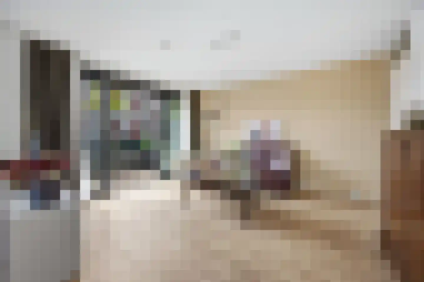 Waterviolier 4 Breda thumbnail 20
