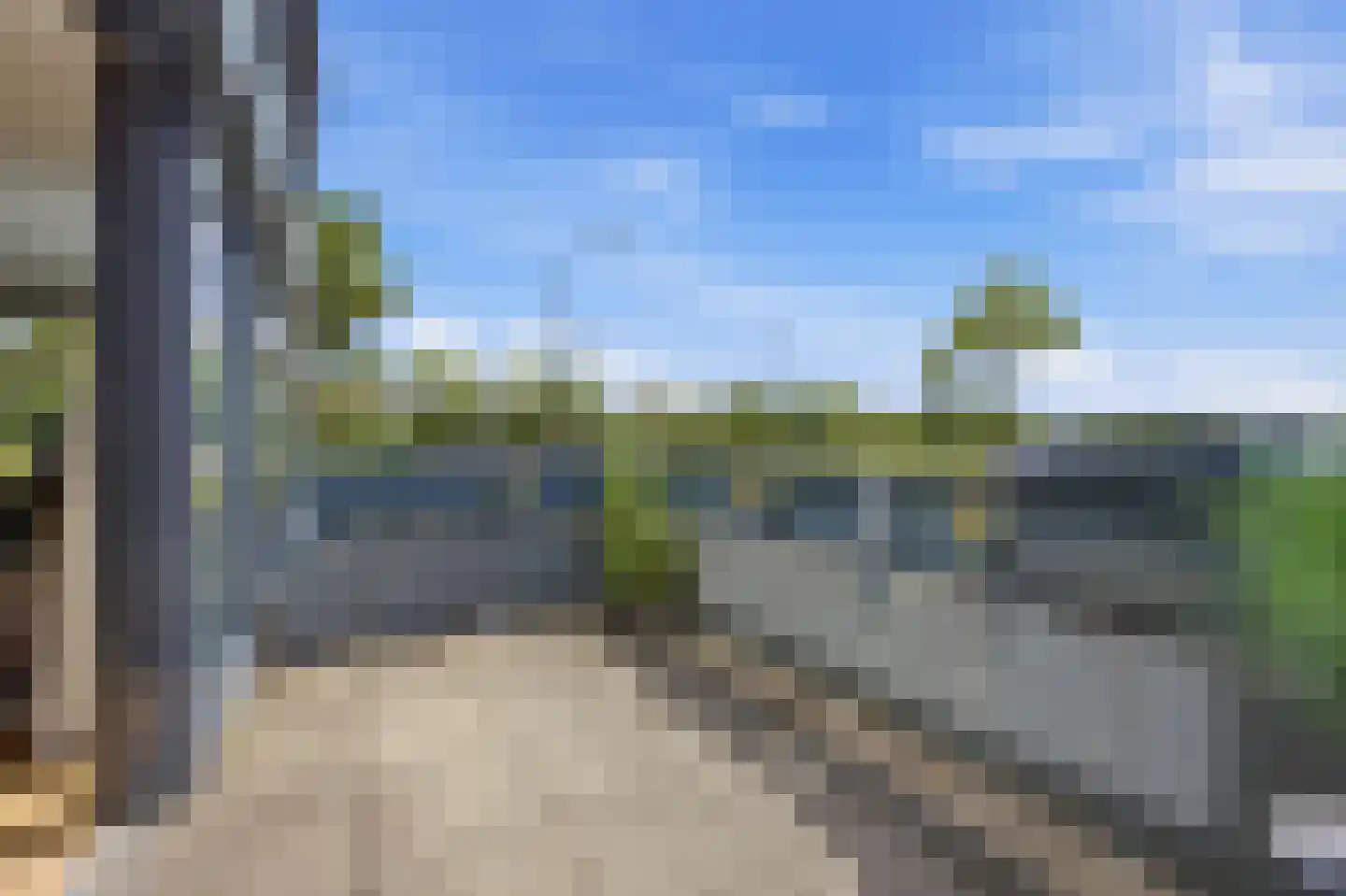 Waterviolier 4 Breda thumbnail 22