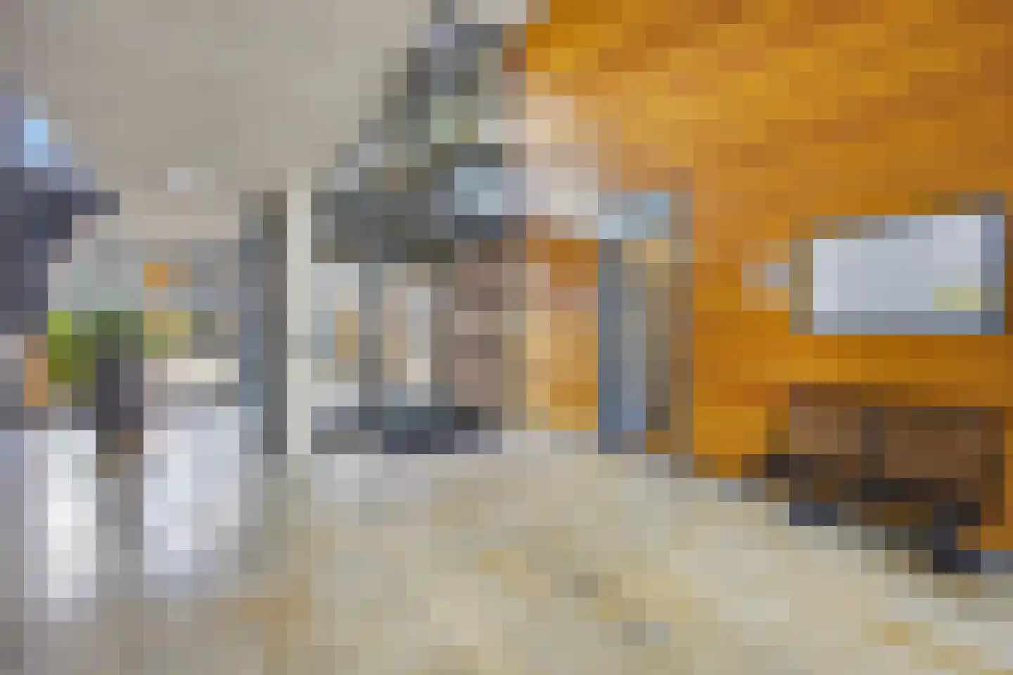 Waterviolier 4 Breda thumbnail 8