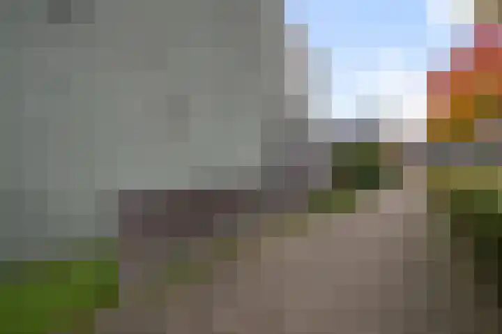 Waterviolier 50 Alphen aan den Rijn thumbnail 30
