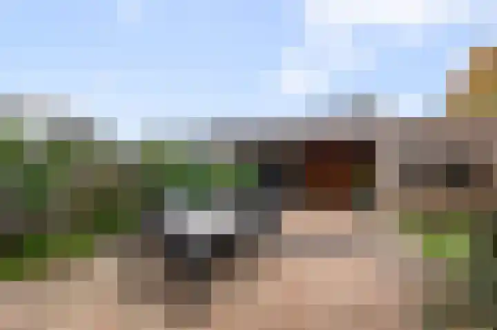 Waterviolier 50 Alphen aan den Rijn thumbnail 5