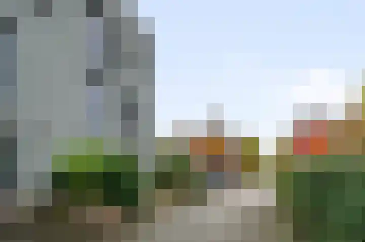 Waterviolier 50 Alphen aan den Rijn thumbnail 6